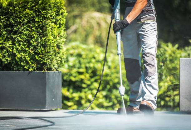 Best Fence Cleaning  in East Rochester, NY