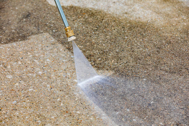 Best Dumpster Area Cleaning  in East Rochester, NY